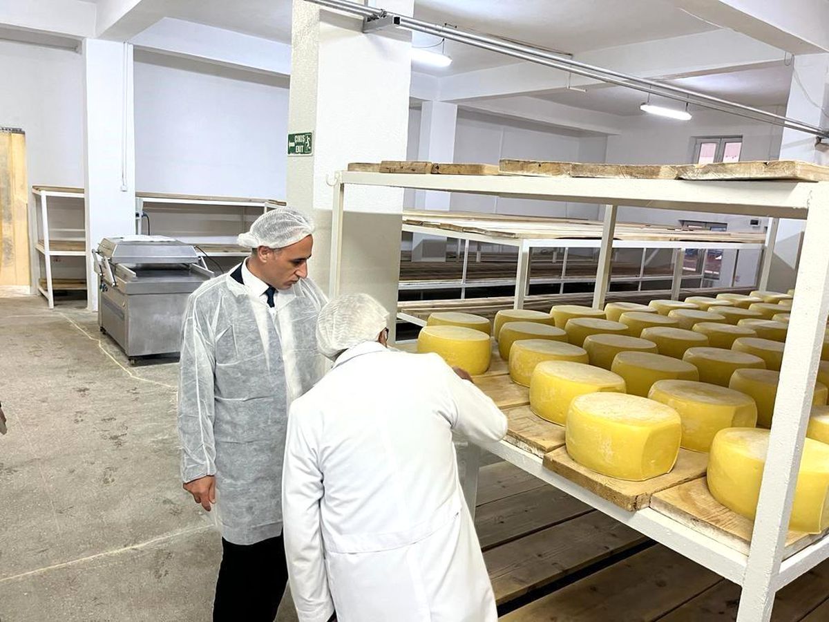 Kars\'ta Süt ve Süt Ürünleri İşletmeleri Denetlendi