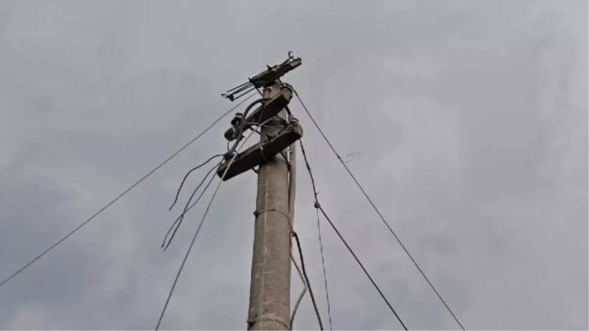 Sapanca'da şiddetli rüzgar ağaç devirdi