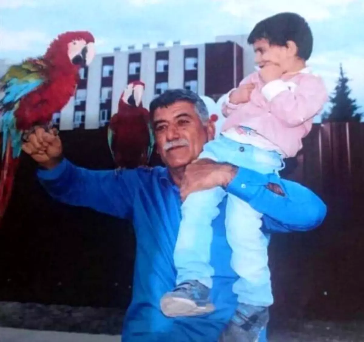 Tarsus\'ta Tartışma Sonucu Bir Kişi Tüfekle Öldürüldü