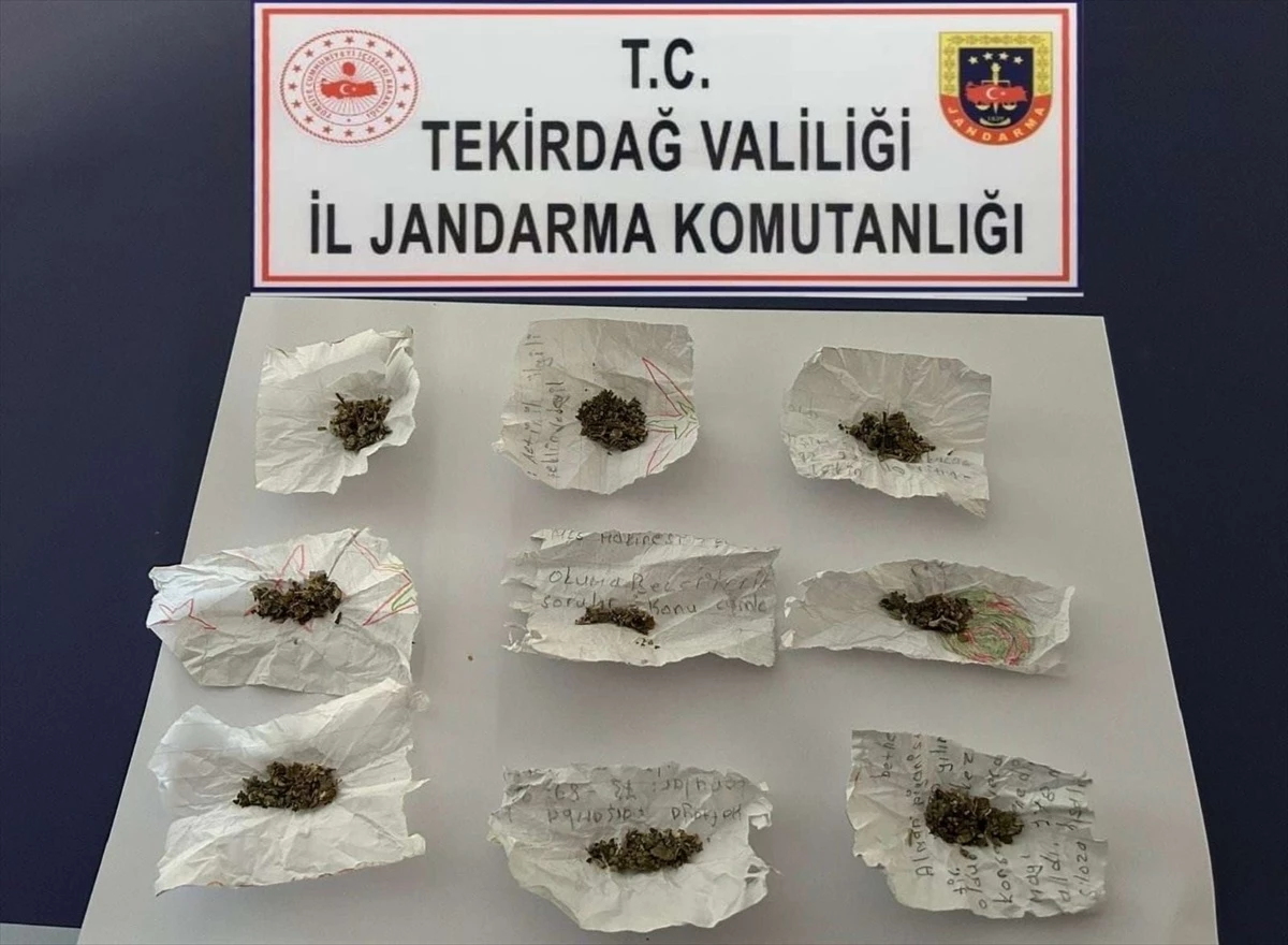 Tekirdağ\'da Uyuşturucu Ticareti Operasyonu: 10 Şüpheli Gözaltına Alındı