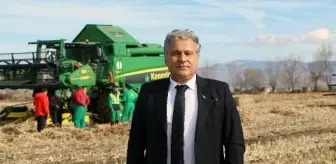 Türkiye'nin ilk tescilli kenevir tohumu 'Narlı' hasat edildi