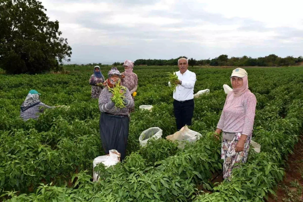 Bursa ve Bölge Tarımına Büyük Katkı Sağlayacak Tesislerin Temeli Aralık Ayında Atılacak