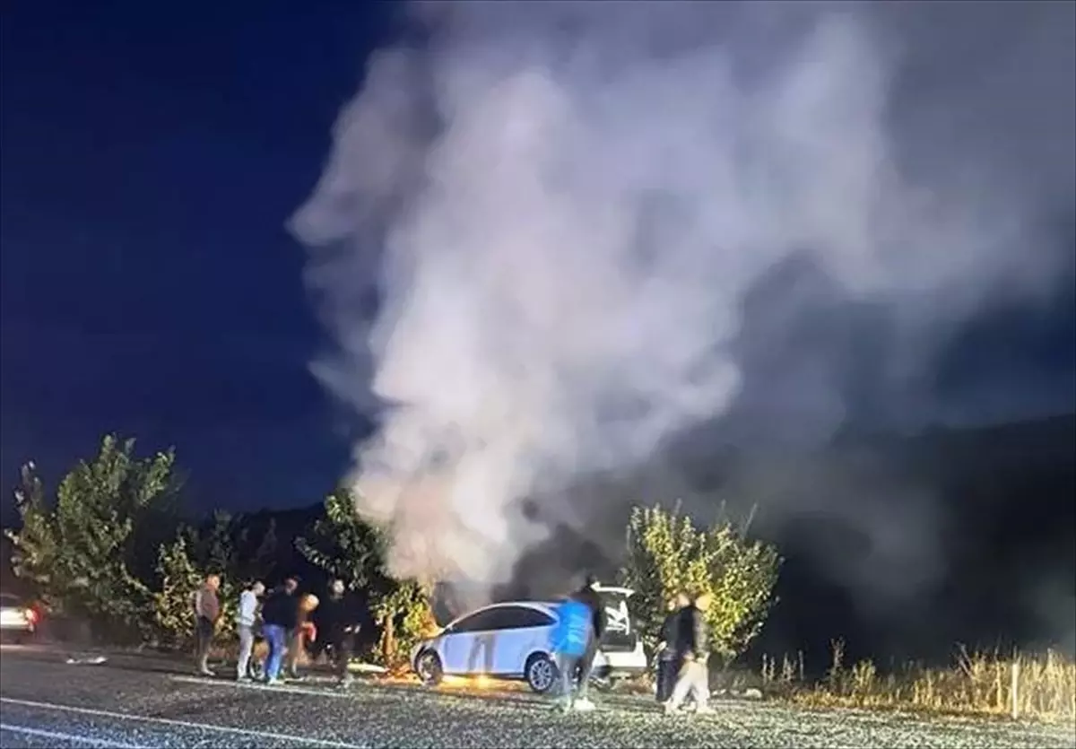 Adıyaman\'da köpeğe çarpan otomobil alev aldı