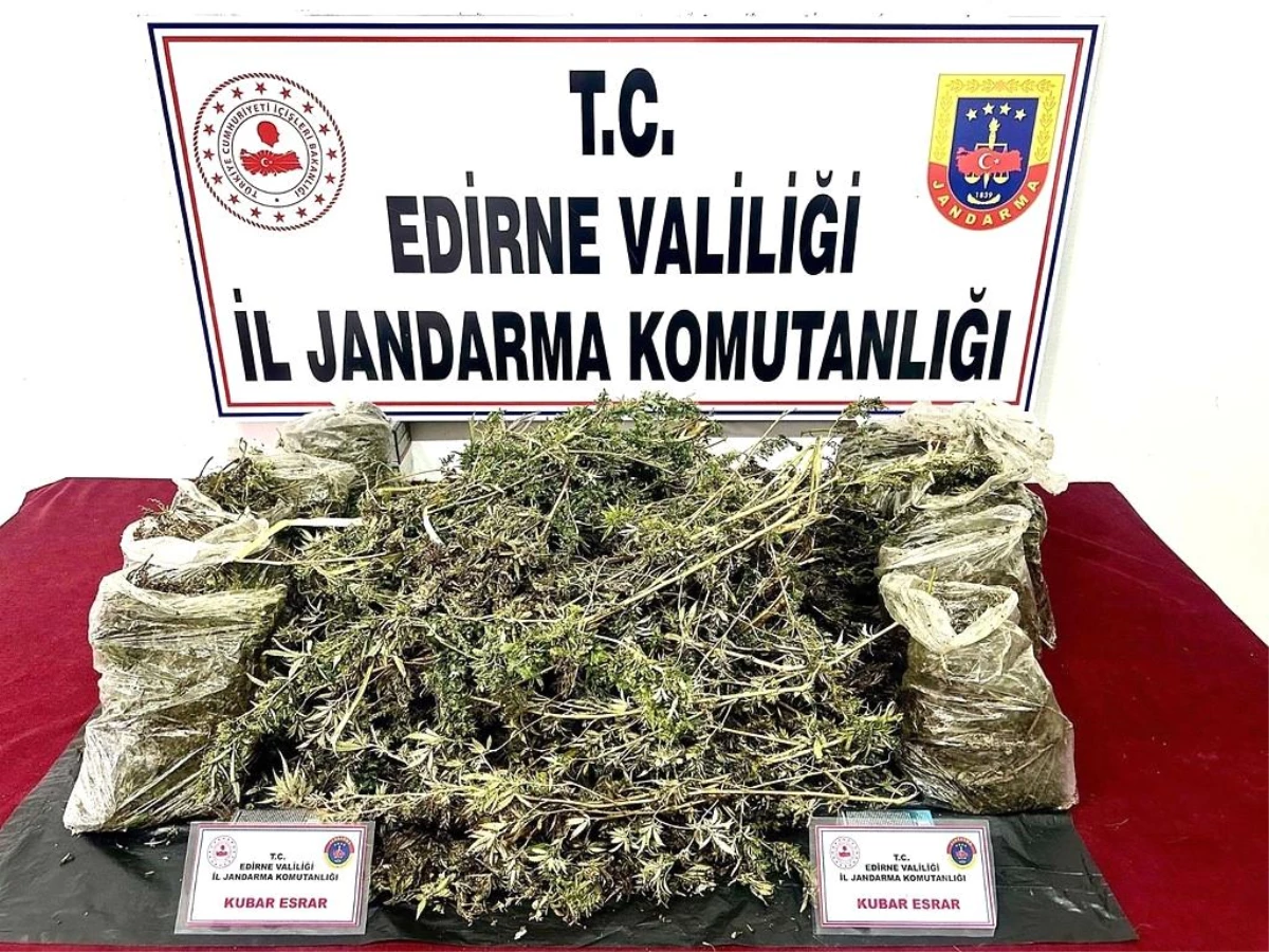 Edirne\'de Jandarma Operasyonunda 8 Kilogram Esrar Ele Geçirildi