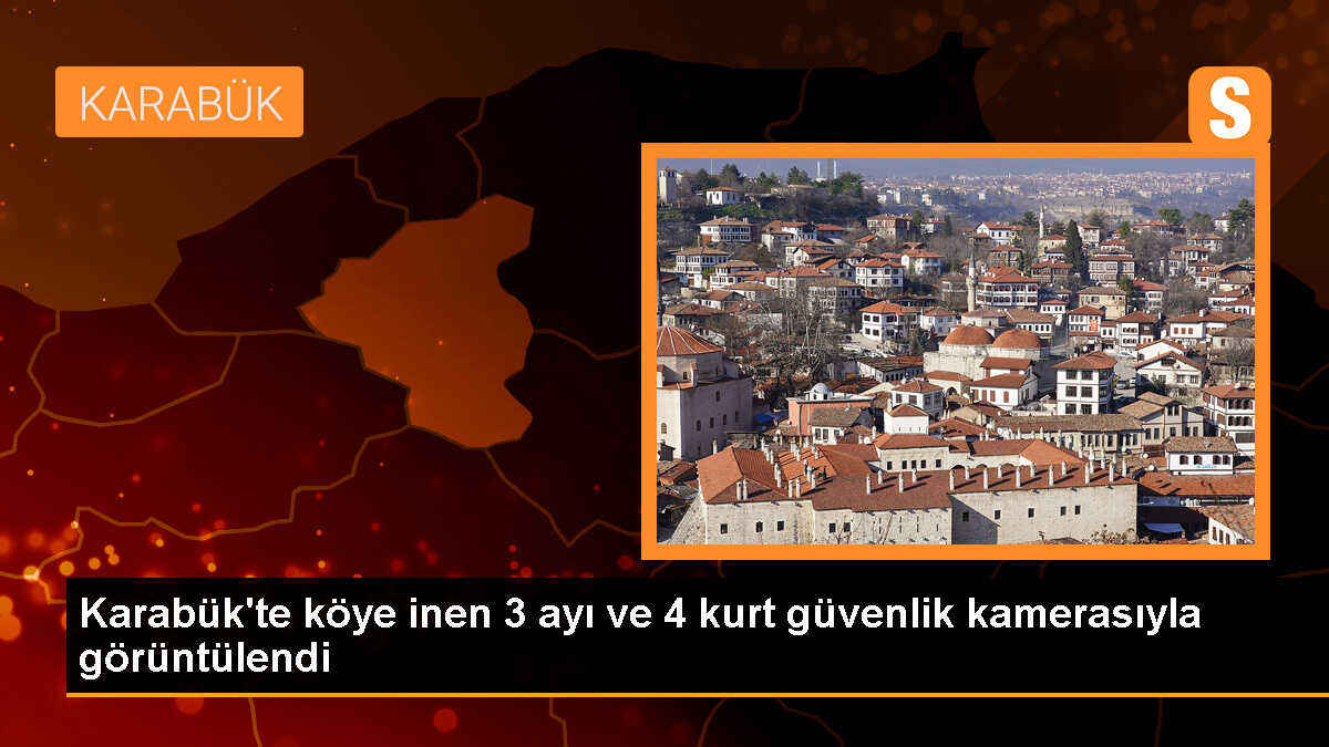 Karabük\'te köye inen 3 ayı ve 4 kurt güvenlik kamerasıyla görüntülendi