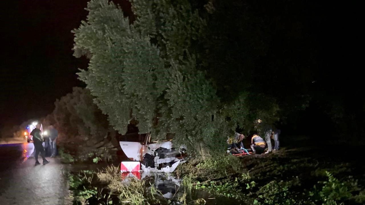 Bursa\'da Alkollü Sürücü Zeytin Ağacına Çarptı