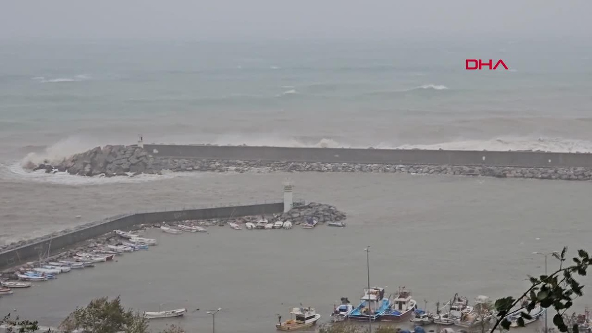 Zonguldak\'ta Sağanak ve Fırtına Sonucu Ağaçlar Devrildi ve Araçlara Zarar Verdi