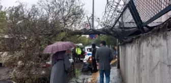 Diyarbakır'da Rüzgarın Etkisiyle Ağaç Otomobilin Üzerine Devrildi