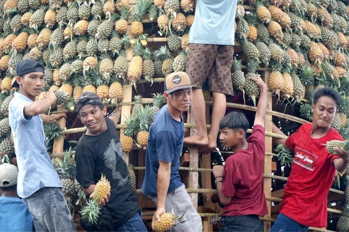 Albüm: Endonezya\'daki Ananas Festivalinden Renkli Kareler