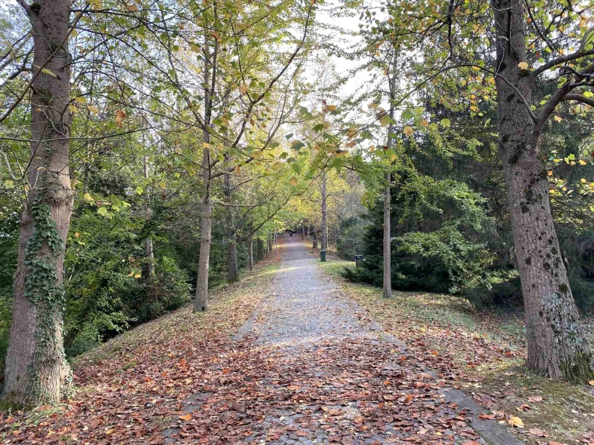 Atatürk Arboretumu Sonbaharda Doğanın Renkleriyle Büyülüyor