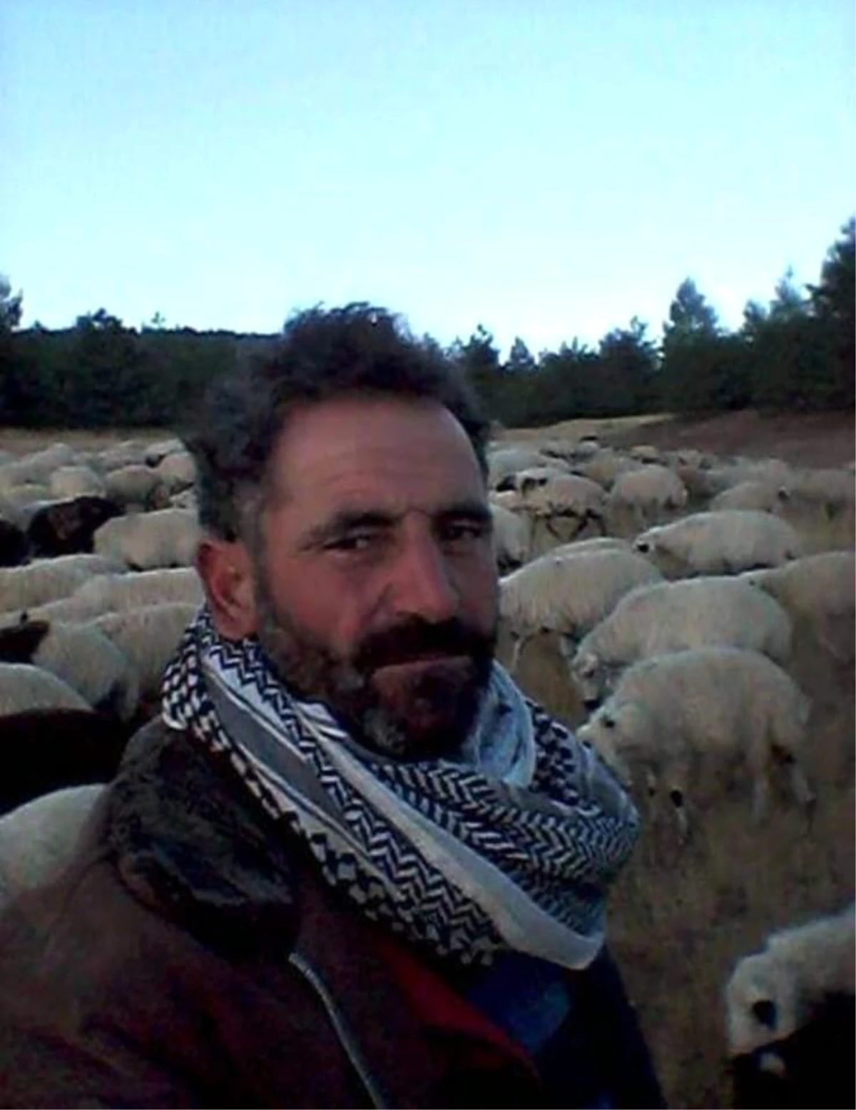 Diyarbakır\'da Çoban Yıldırım Çarpması Sonucu Hayatını Kaybetti