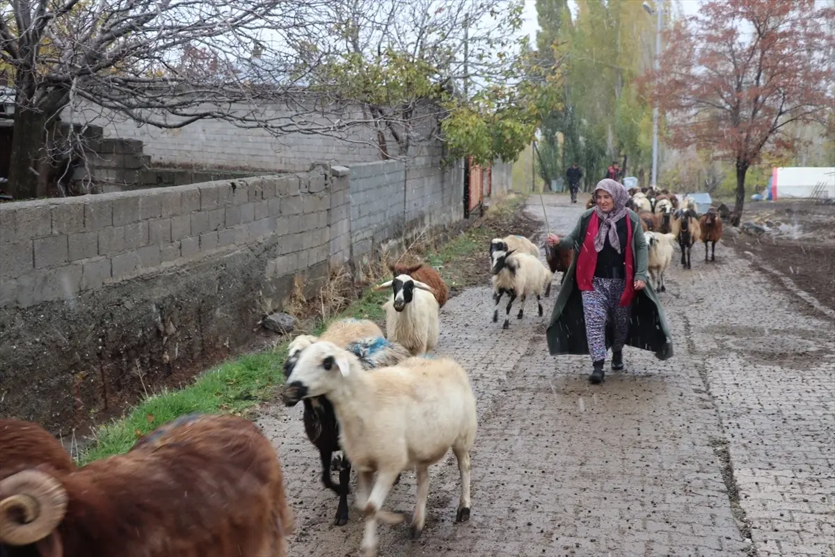 Erzincan\'da Tarım ve Orman Bakanlığı Destekli Çiftçilik