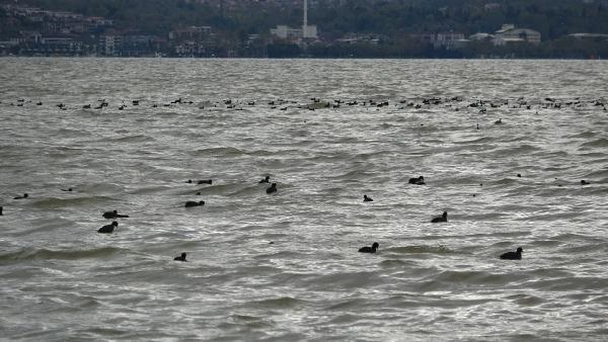Kocaeli\'de Sağanak ve Fırtına Sonrası İzmit Körfezi\'nin Rengi Değişti