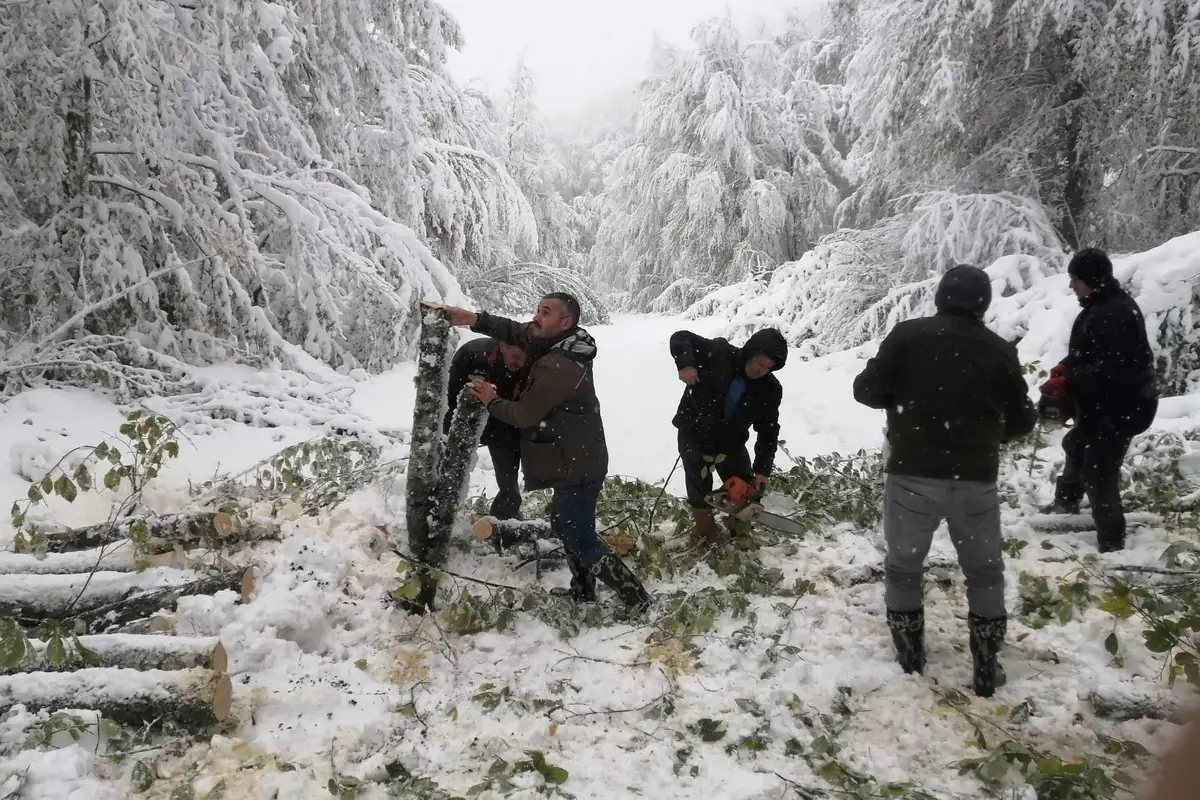 Bolu\'da yayla yolunda mahsur kalan 4 kişi kurtarıldı