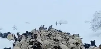 Erzincan'da yaylada mahsur kalan çobana yardım