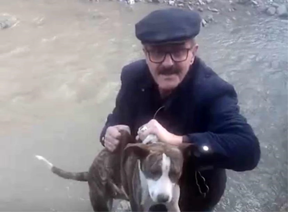 Zonguldak\'ta dereye düşen sokak köpeği kurtarıldı