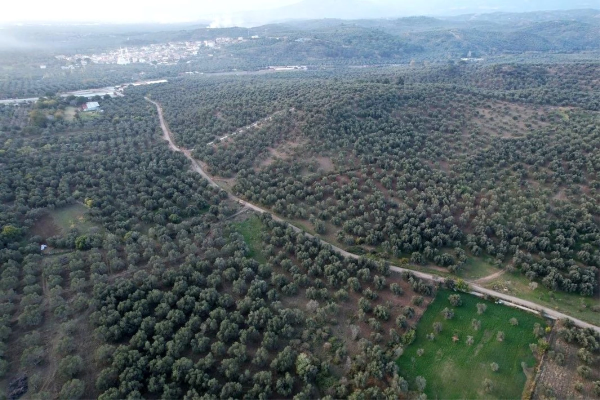 Balıkesir Havran İlçe Tarım ve Orman Müdürlüğü, Dron Kullanmaya Başladı