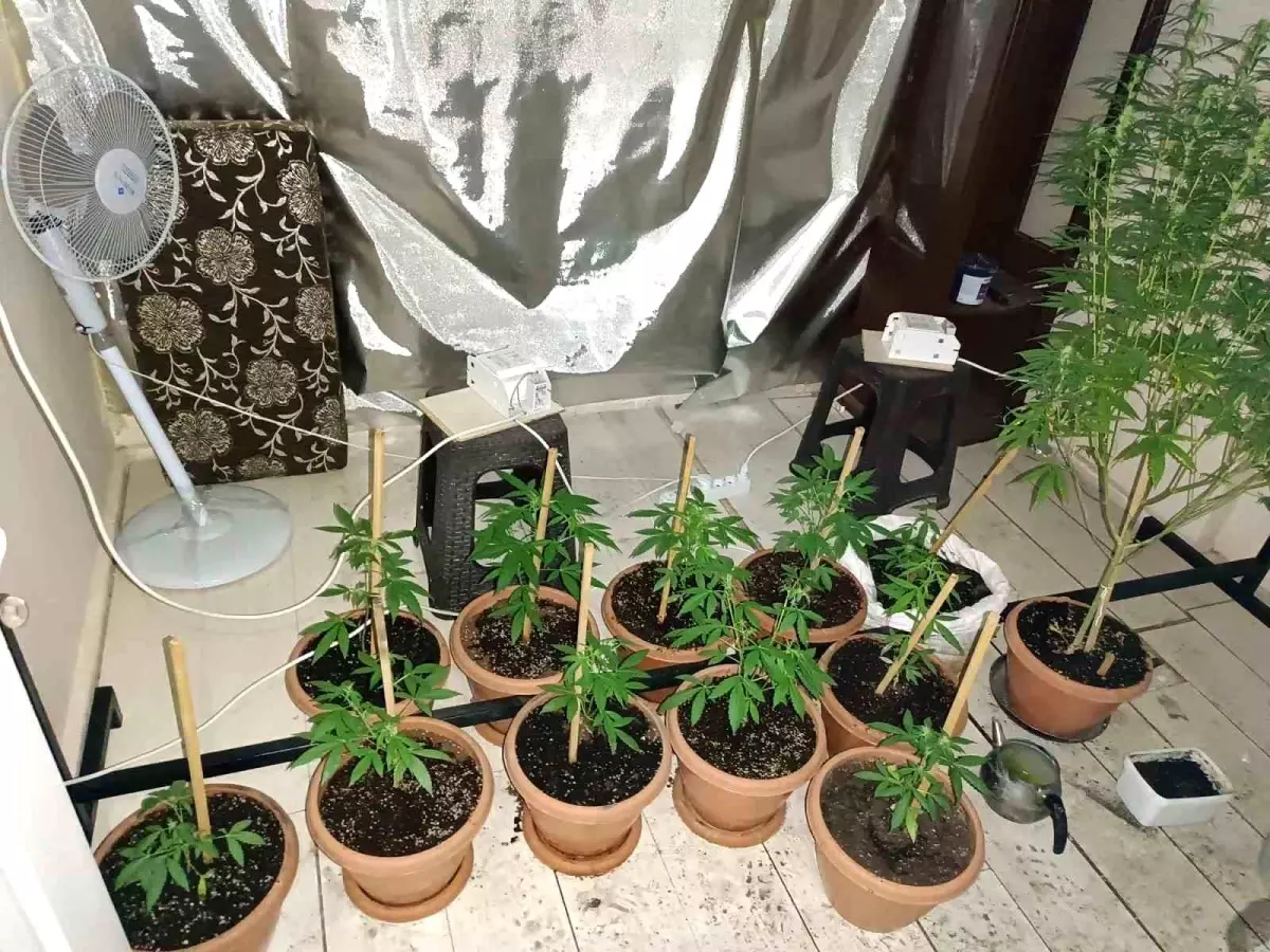 Menemen\'de uyuşturucu operasyonu: Şüpheli tutuklandı