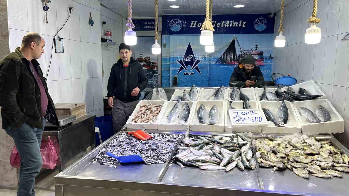 Sinop\'ta Kötü Hava Şartları Balıkçılığı Olumsuz Etkiledi