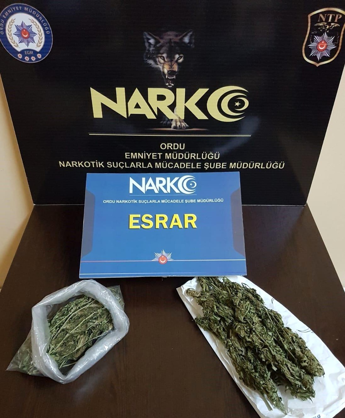 Ordu\'da Uyuşturucu Operasyonu: 16 Şahıs Hakkında Adli İşlem