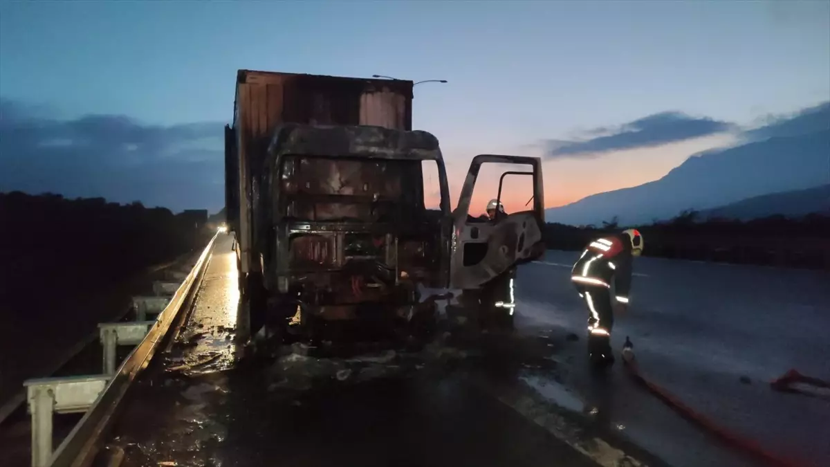 Orhangazi\'de Tavuk Yemi Yüklü Kamyon Yandı