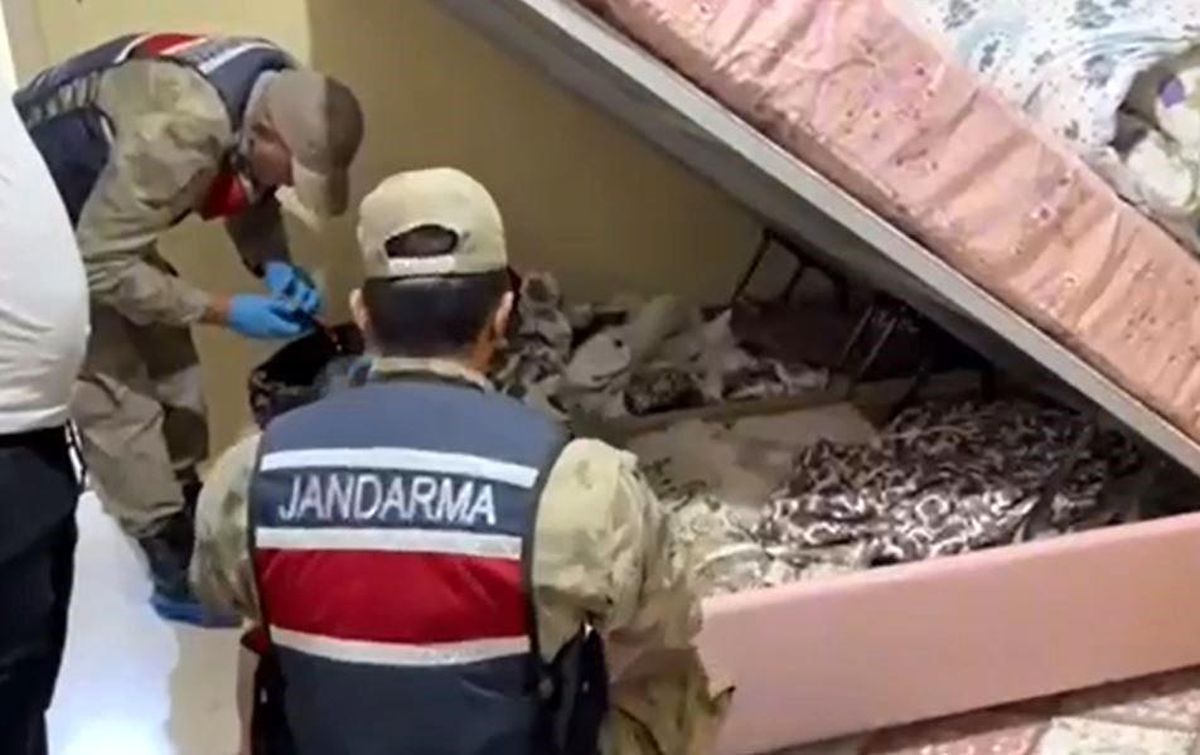 Van\'da Jandarma Operasyonu: 42 Şahıs Yakalandı, 9\'u Tutuklandı