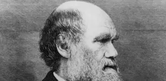 Charles Darwin ve devrim niteliğindeki evrimsel teorileri