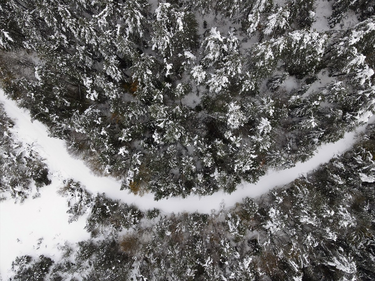 Kastamonu\'da kar yağışı sonrası ormanlar dronla görüntülendi