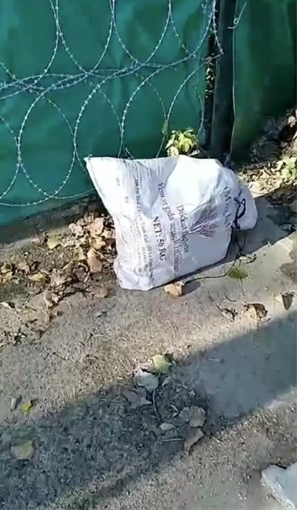 Keşan\'da Kulakları ve Kuyruğu Kesilmiş Köpek Yavrusu Bulundu