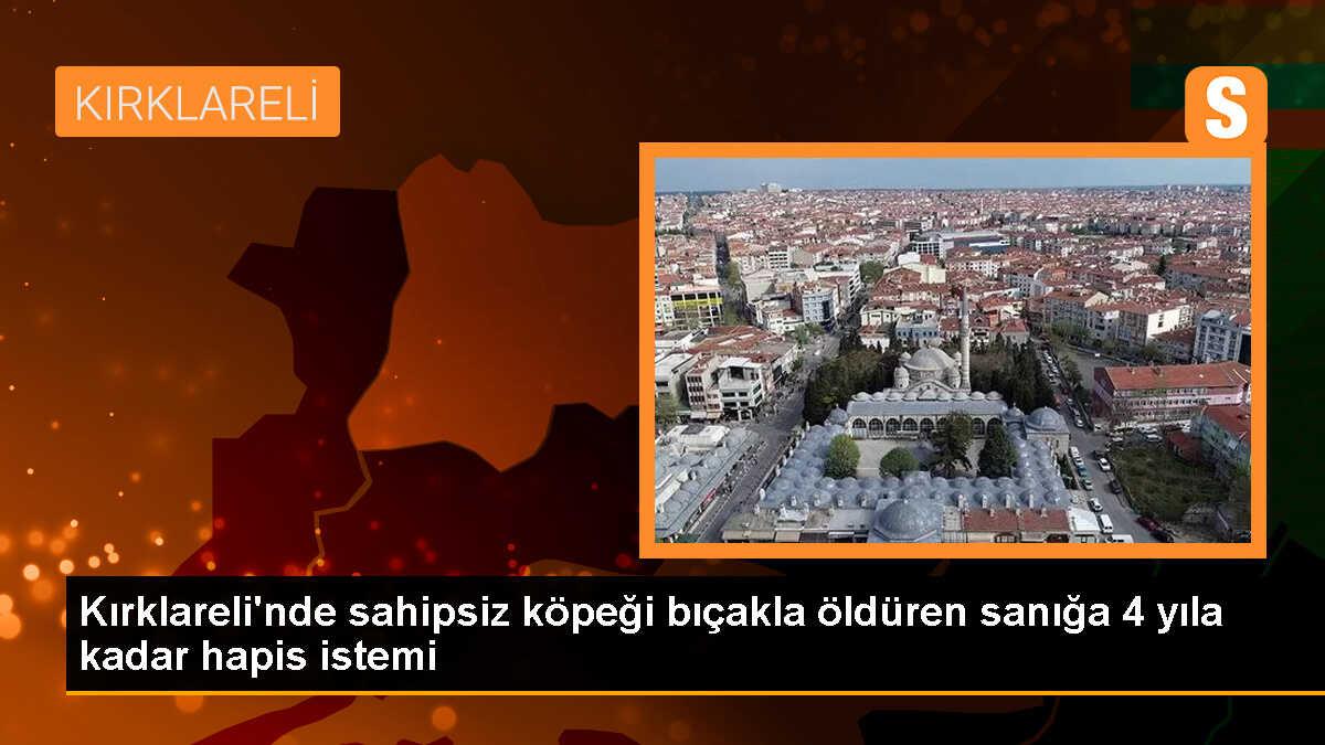 Kırklareli\'de sahipsiz köpeği bıçaklayan sanığa hapis talebi
