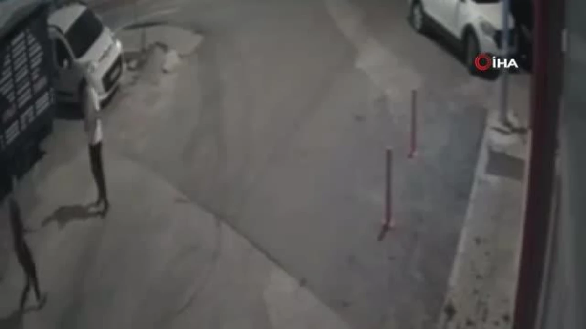 Kırklareli\'de Sokak Köpeğinin Bıçaklanarak Öldürülmesi Olayında Şüpheliye 4 Yıl Hapis İsteniyor