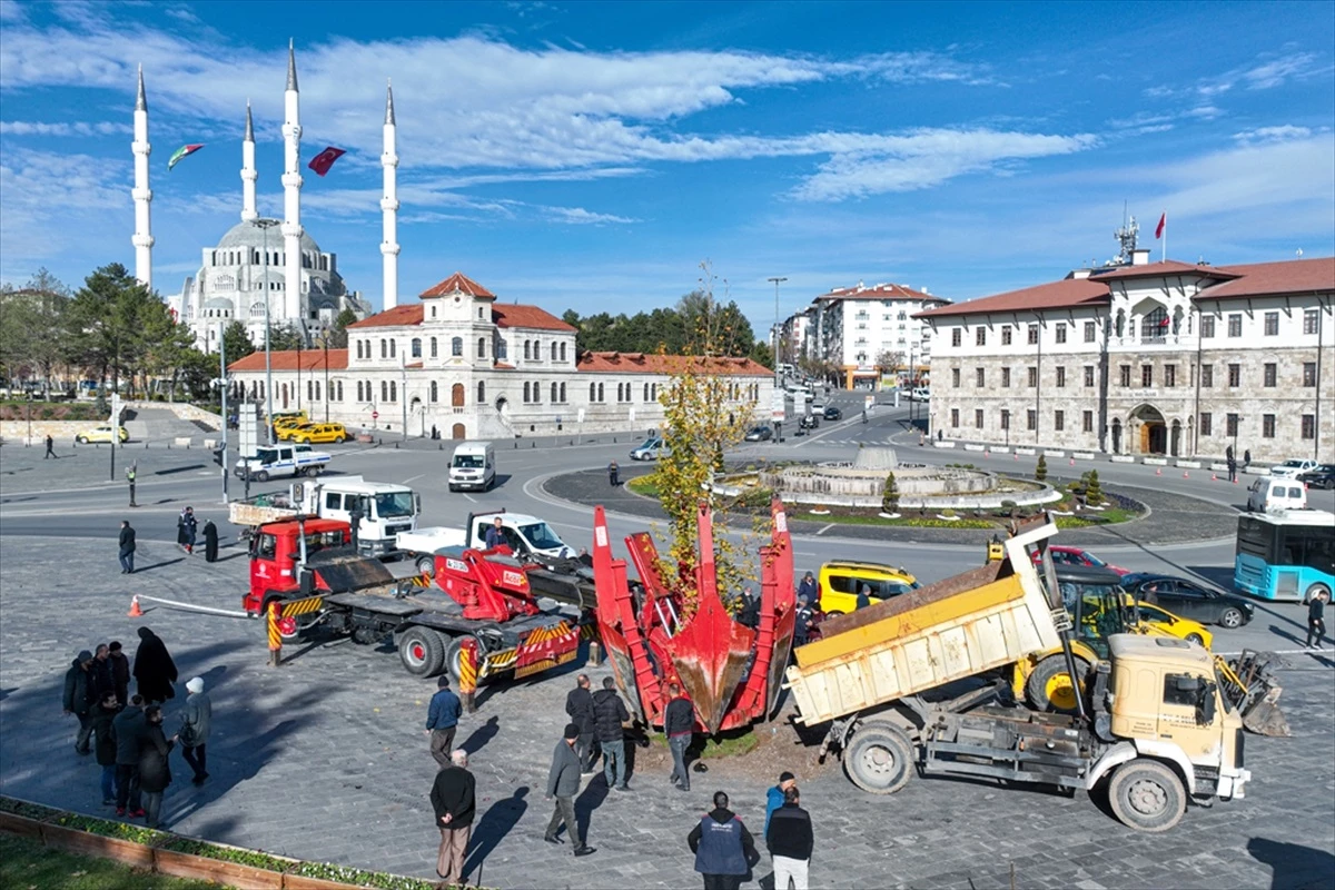 Sivas Cumhuriyet Meydanı\'nda Akasya Ağacı Yerine Çınar Ağacı Dikildi