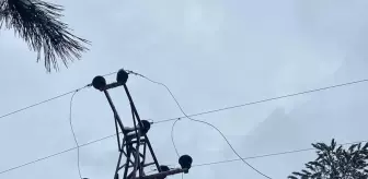 Bolu'nun Mengen ilçesinde elektrik kesintisi yaşanan köylerde arıza gideriliyor