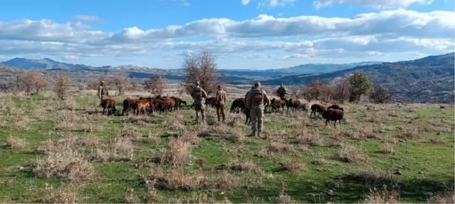 Elazığ\'da kaybolan 40 küçükbaş hayvan dron destekli çalışmayla bulundu