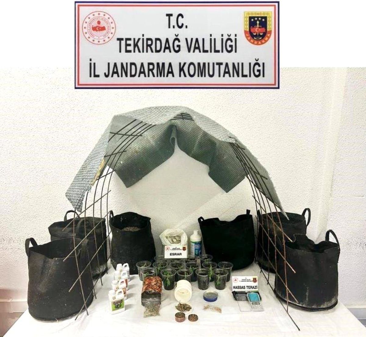 Tekirdağ\'da evde kenevir serası oluşturan şüpheli yakalandı