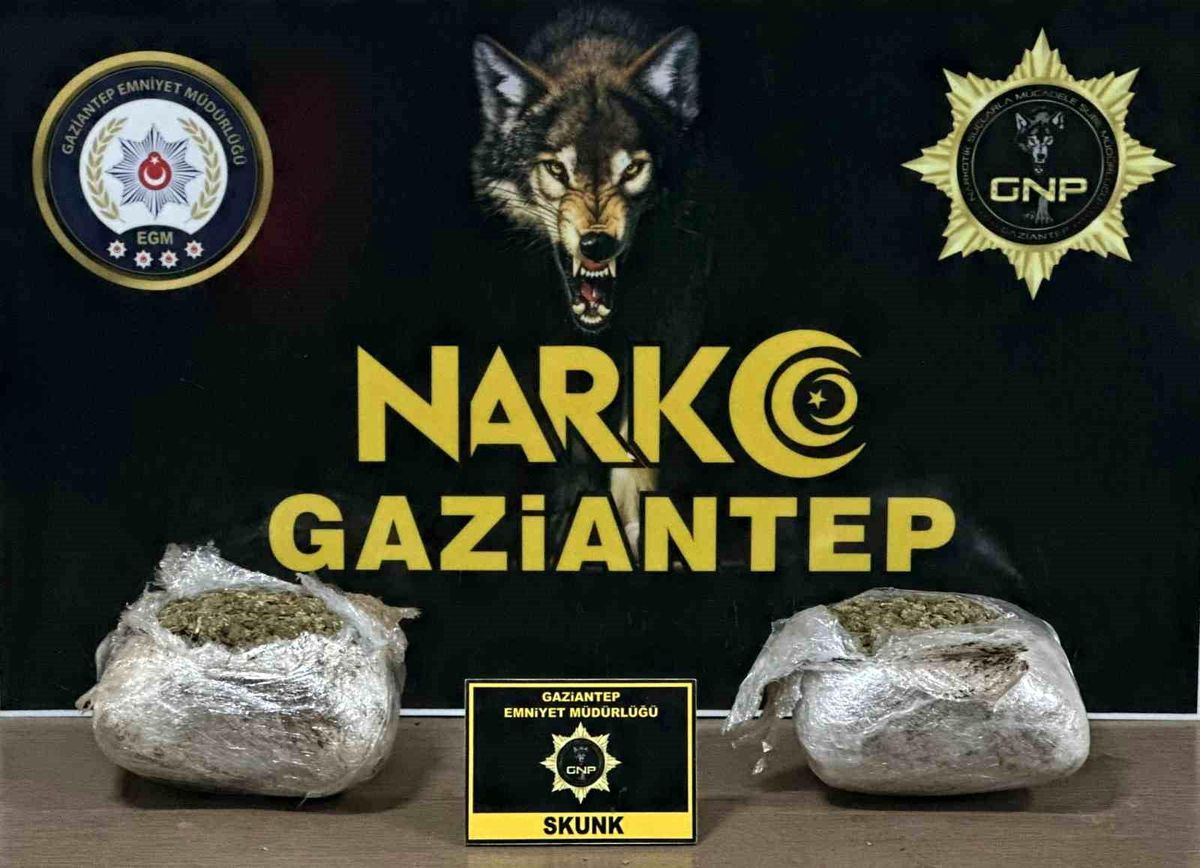 Gaziantep\'te 1.5 kilogram skunk ele geçirildi, bir kişi gözaltına alındı