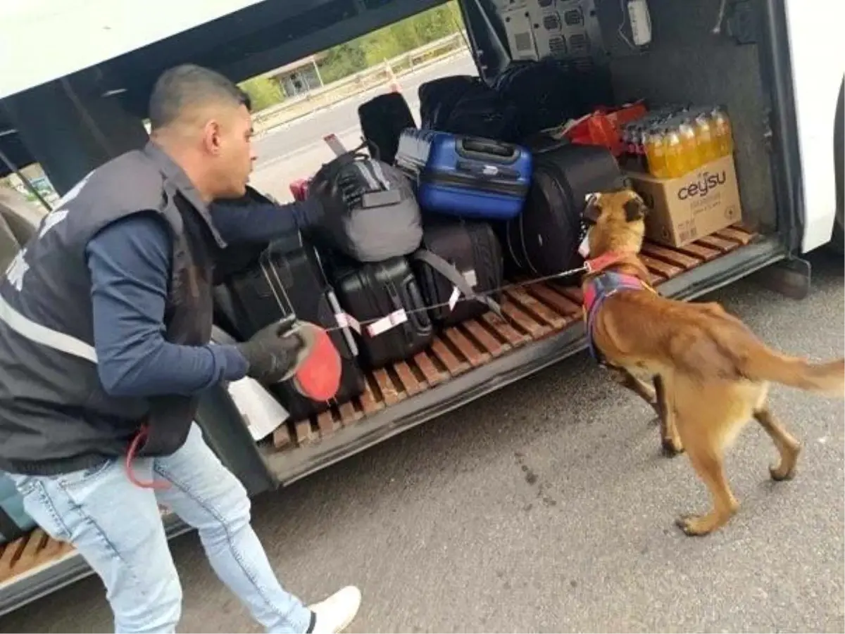 Eskişehir\'de yapılan denetimlerde 23 aranan şahıs yakalandı