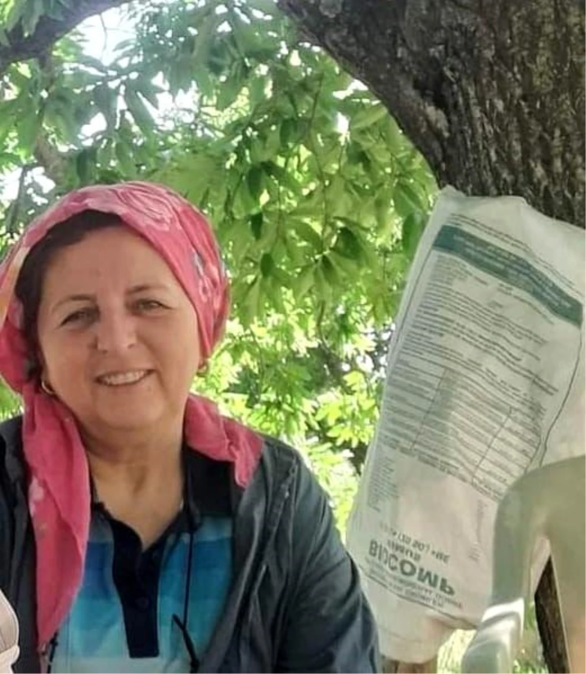 Aydın\'da Mantar Zehirlenmesi Sonucu Bir Kişi Hayatını Kaybetti