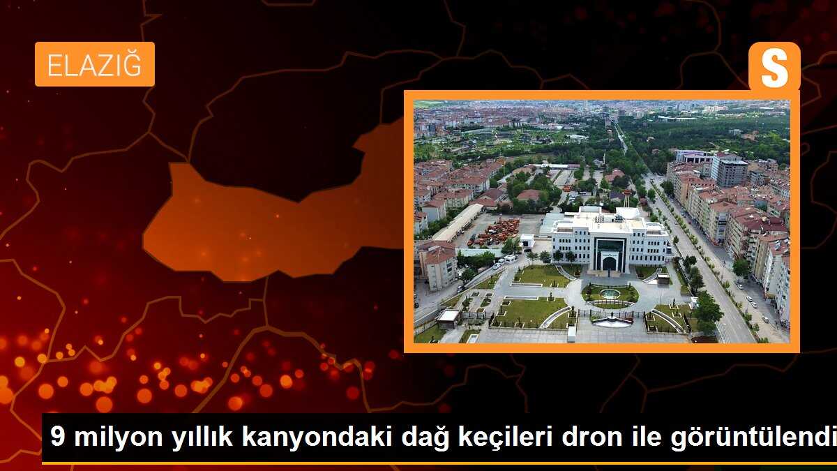 9 milyon yıllık kanyondaki dağ keçileri dron ile görüntülendi