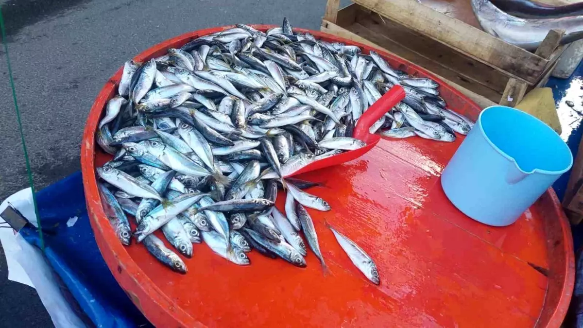 Seyyar balık satıcısı isyan etti: Sigaraya 50 lira veriyorlar, balığa vermiyorlar