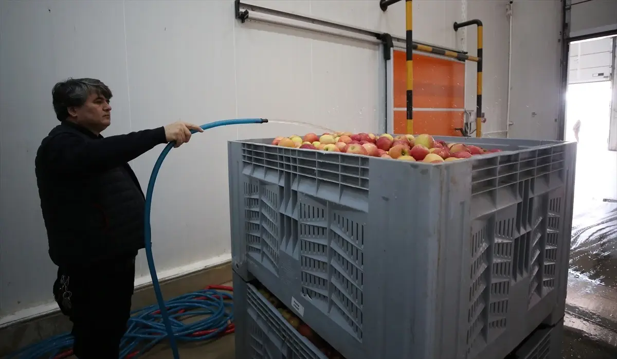 Çanakkale\'de 3 girişimcinin soğuk hava tesisi TKDK desteğiyle büyüyor