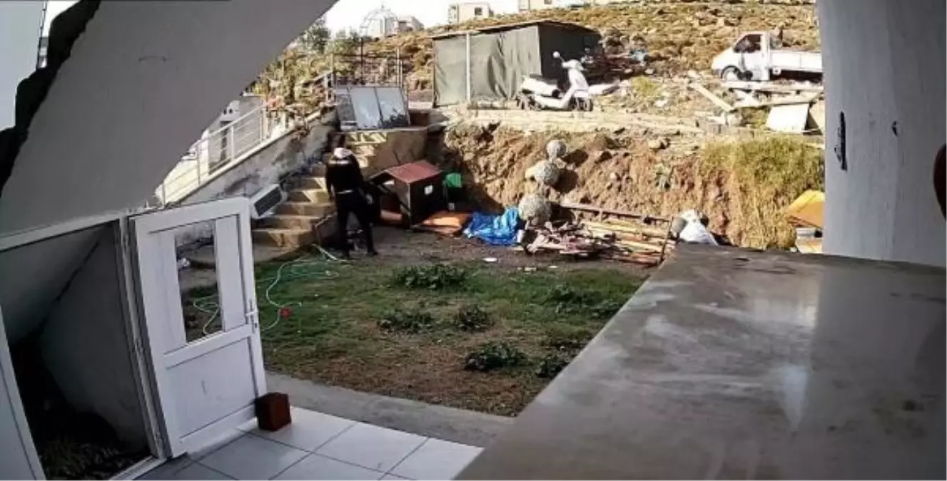 Bodrum\'da kamyonet sürücüsü köpeğe vurdu