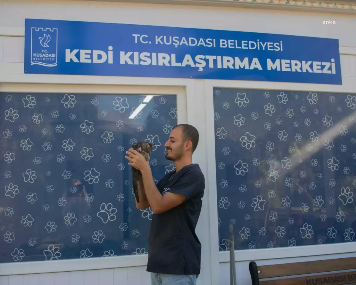 Kuşadası Belediyesi Sokak Kedilerini Ücretsiz Kısırlaştırıyor