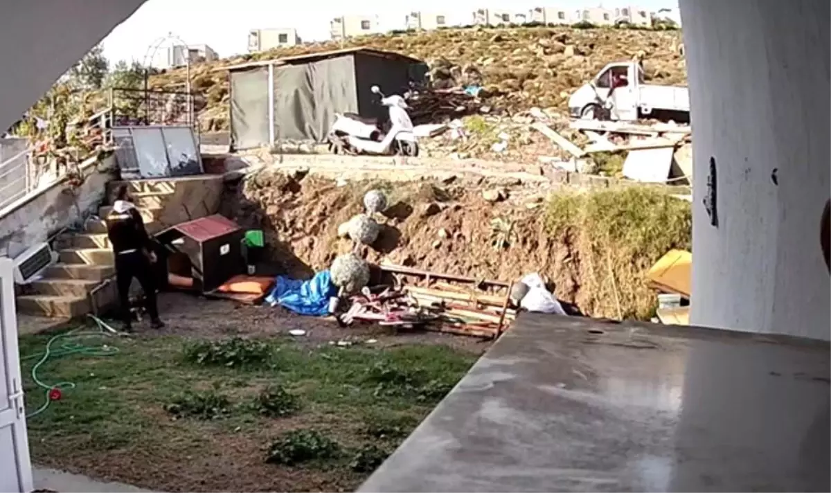 Bodrum\'da köpeğe cisimle vuran sürücü kaçtı