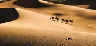 Tebük Savaşı ve islam tarihindeki rolü