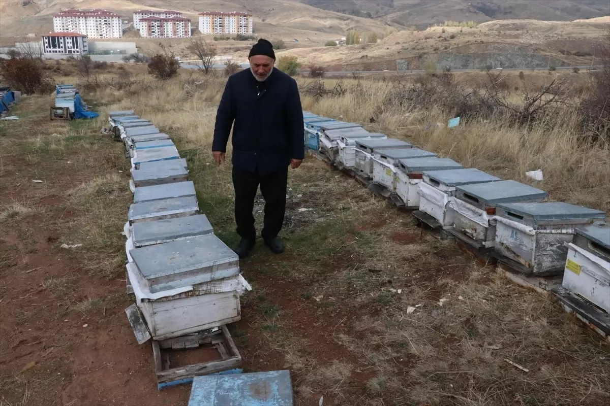 Yozgat Arı Yetiştiricileri Birliği Başkanı: Varroa hastalığına zamanında mücadele edilmeli