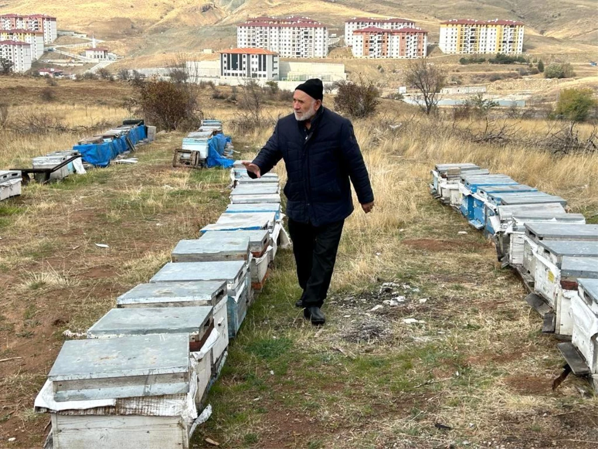 Yozgat\'ta Varroa Hastalığı Nedeniyle 15 Bin Kovan Zarar Gördü