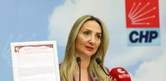 CHP, belediyelere kadına şiddet politikası belgesi sundu