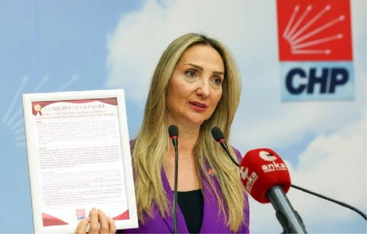 CHP, belediyelere kadına şiddet politikası belgesi sundu