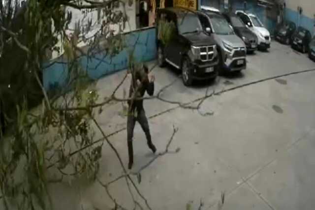 Fırtına nedeniyle devrilen ağacın altında kalmaktan son anda kurtuldu